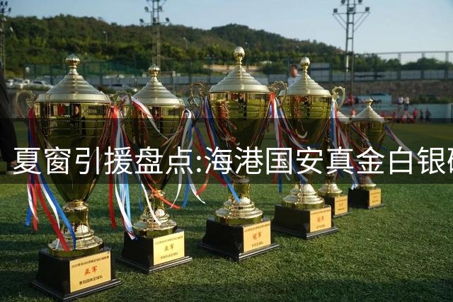 夏窗引援盘点:海港国安真金白银砸亚冠,足协不能光让俱乐部自己扛